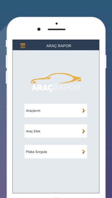 Screenshot #2 pour Araç Rapor