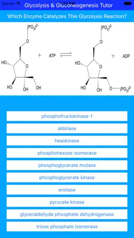 Game screenshot Glycolysis Glucogenesis Tutor hack