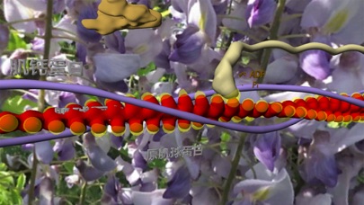 3D生物学 screenshot 4