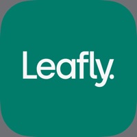 Leafly app not working? crashes or has problems?