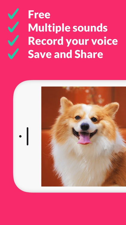 Dog Selfie Camera - Delfie