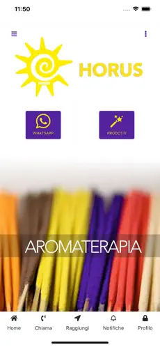 Captura de Pantalla 2 Horus iphone