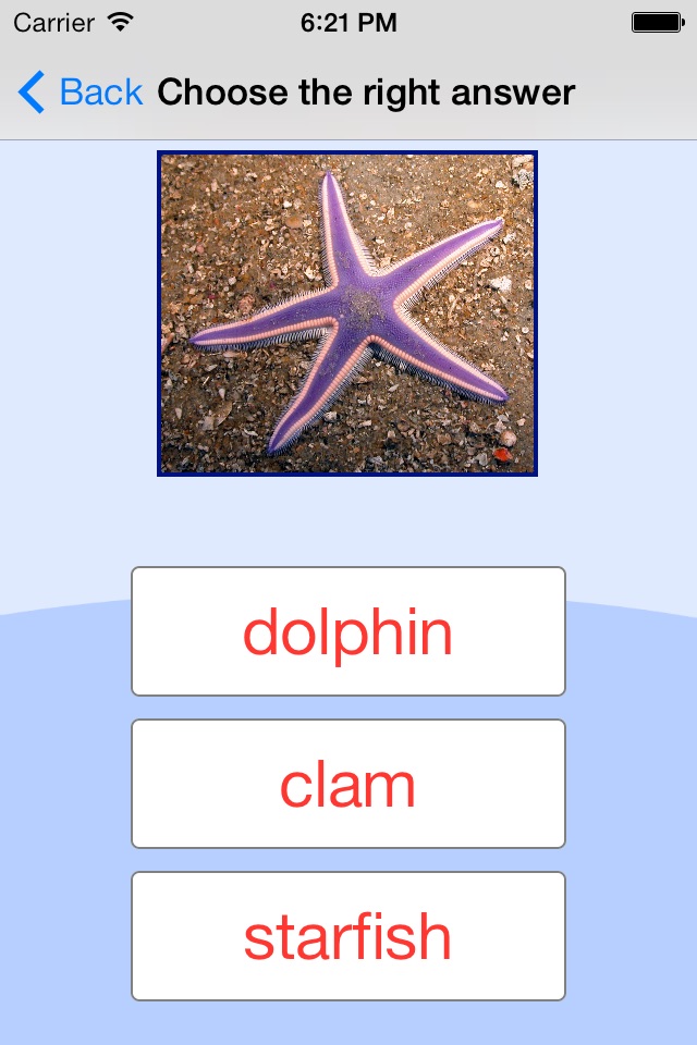 Sea Animals. Learning Cards screenshot 3
