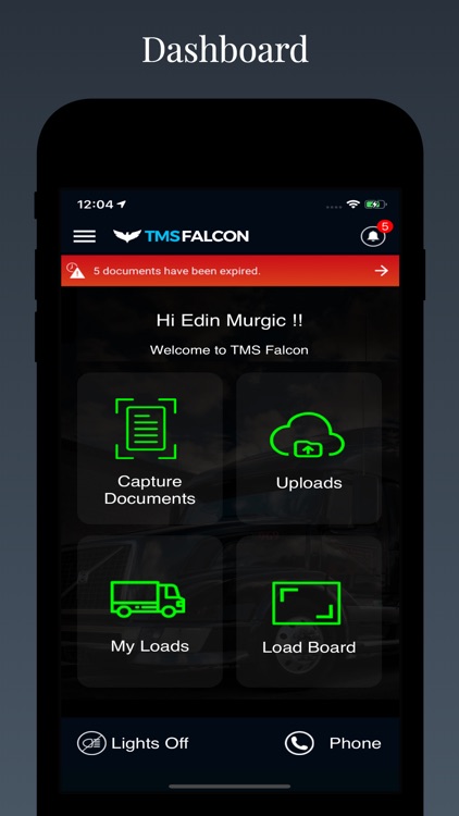 Tmsfalcon