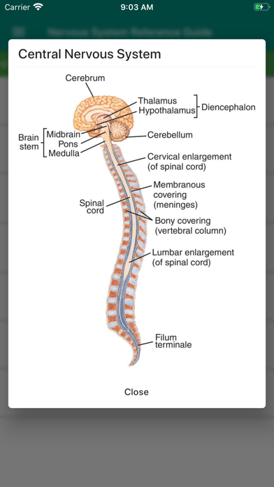 How to cancel & delete Nervous System Reference Guide from iphone & ipad 2