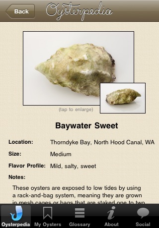 Oysterpedia screenshot 2