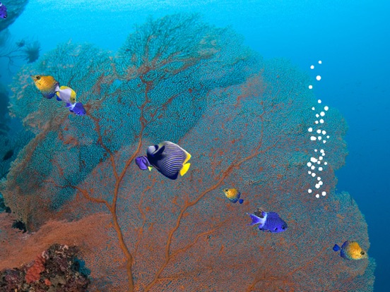 Screenshot #4 pour Fishies