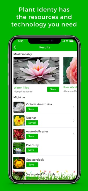 Plant Identification Info Su App Store