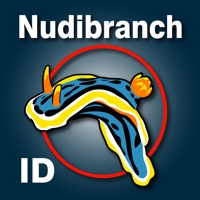 Nudibranch ID Eastern Pacific pour PC