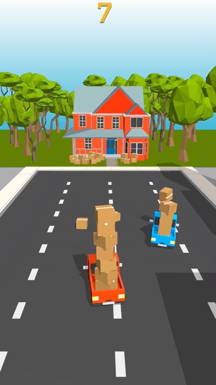 Delivery Driver 3D