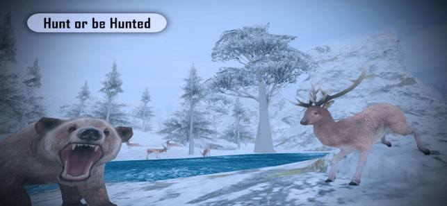 Deer Target Hunting(圖5)-速報App