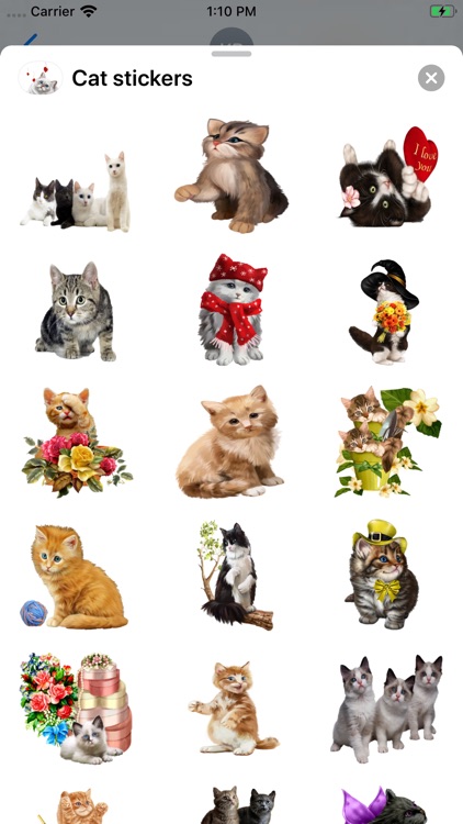 Cat stickers