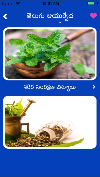 Telugu Ayurvedic Health Tips screenshot-3