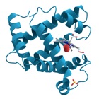 Medical Biochemistry Quiz