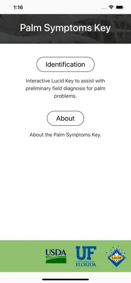 Game screenshot Palm Symptoms Key mod apk