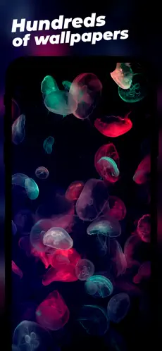 Screenshot 6 Dark Mode Wallpapers & Themes iphone