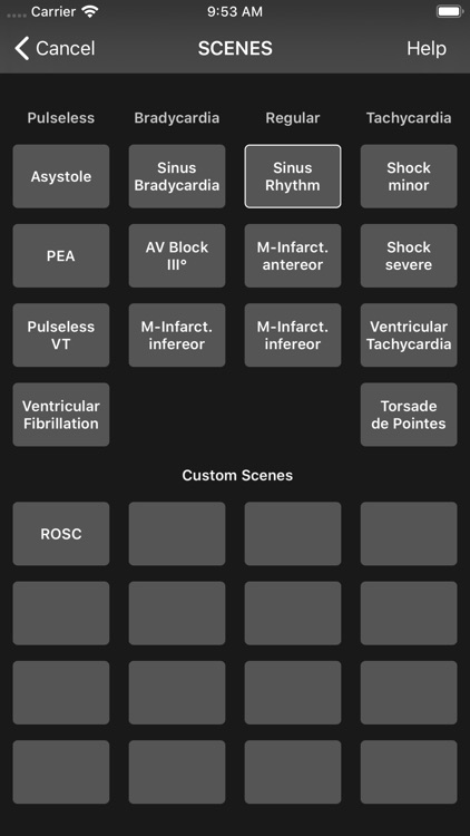 Medical Rescue Sim Remote screenshot-9