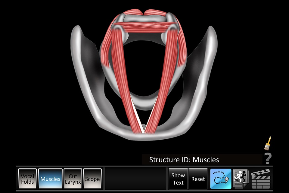 Vocal Folds ID screenshot 2