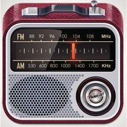 FM Radio Wave