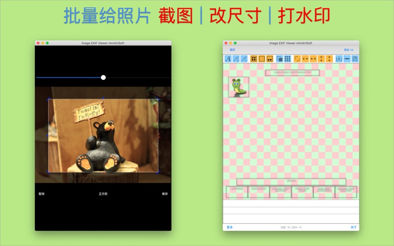 Image EXIF Viewer miniArtSoft screenshot 3