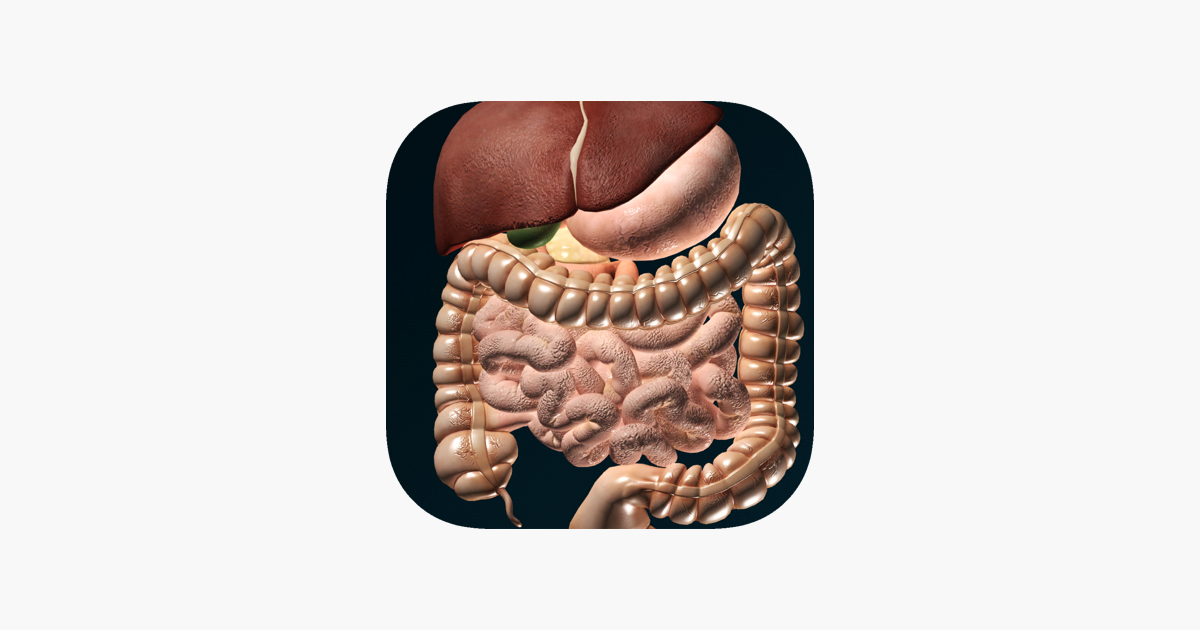 Inneren Organe 3d Anatomie Im App Store