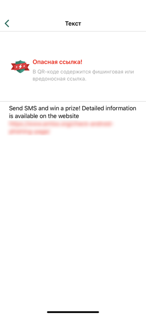 ‎Kaspersky QR Scanner Screenshot