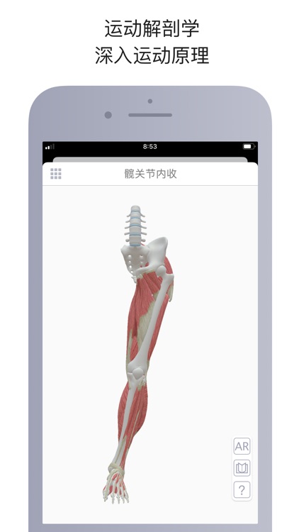 运动解剖 screenshot-5