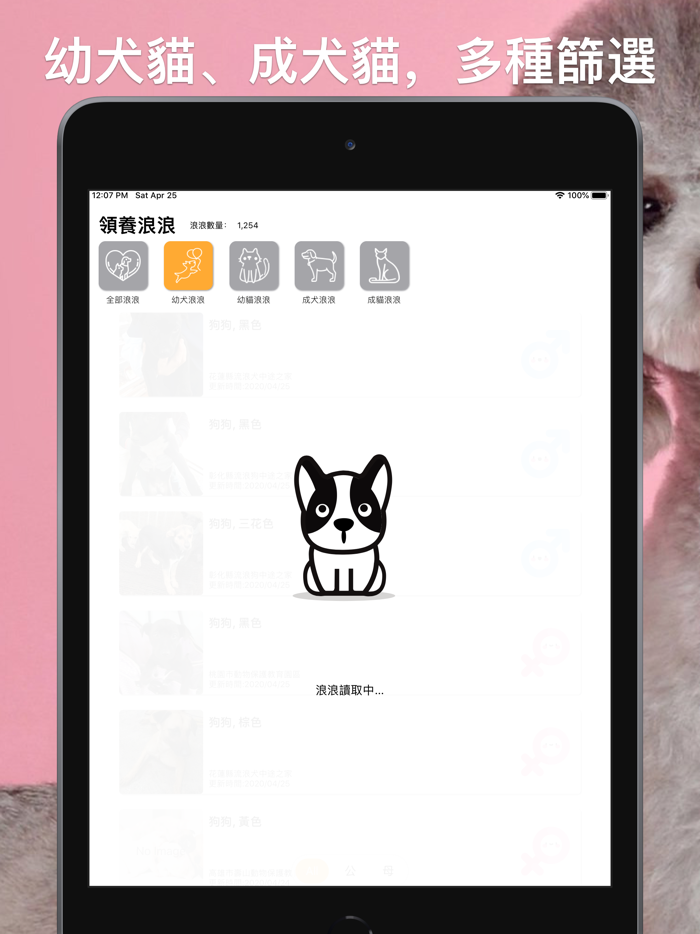 領養浪浪：即時全台流浪毛小孩