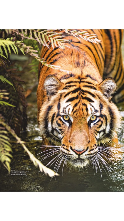 National Geographic Traveler screenshot-7