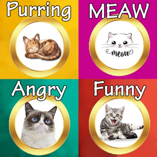 Angry Cat SOUNDS and PICTURES 