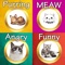 Cat Sounds App contains lots different sounds of cats, so you can listen to them at any time, without a data Internet