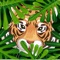 Icon Hidden Tiger: Find It