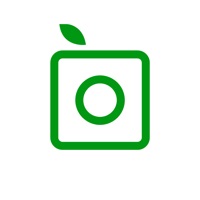PlantSnap: 식물 식별하기 PC 용