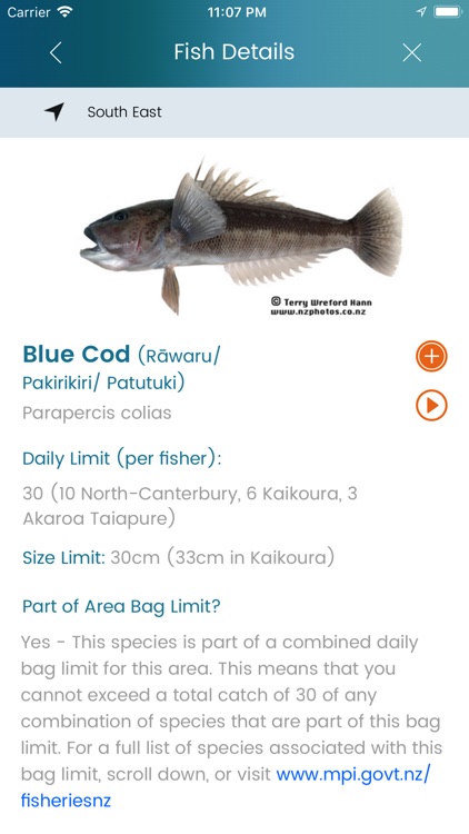NZ Fishing Rules screenshot-3