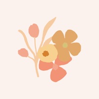 Love & Kindness Surrogacy pour PC