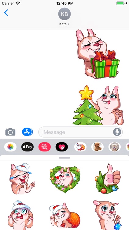 Christmas Dog Sticker Pack screenshot-3