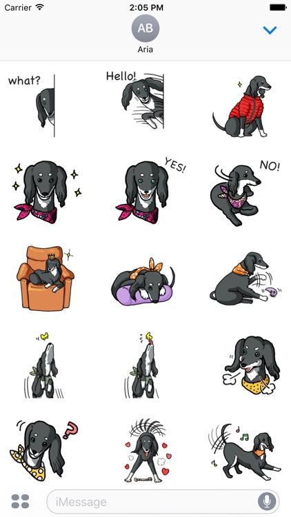 Black Saluki Dog Sticker