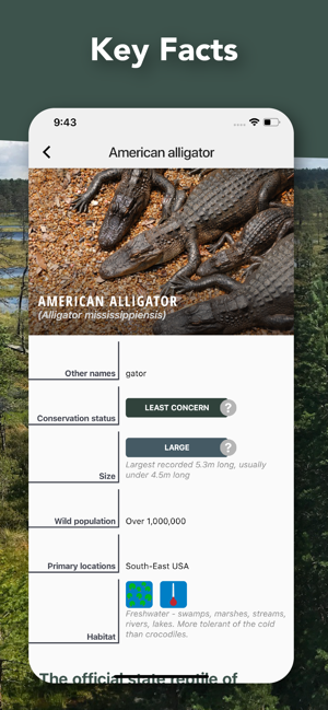 Crocodile, Alligator, Gharials(圖5)-速報App