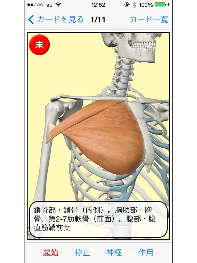 骨筋暗記 En App Store