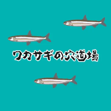 釣り東北プロデュース、ワカサギの穴道場 Cheats