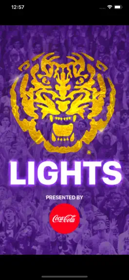 Game screenshot Tiger Lights apk