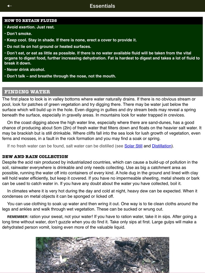 SAS Survival Guide - Lite