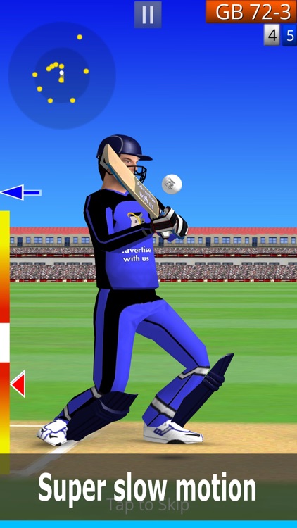 Smashing Cricket: cricket game screenshot-0