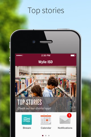 Wylie ISD - náhled