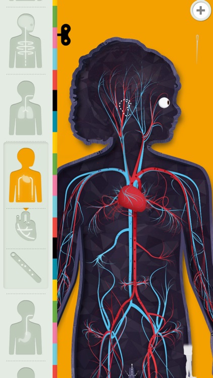 The Human Body by Tinybop screenshot-0