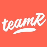 delete Teamr Sport