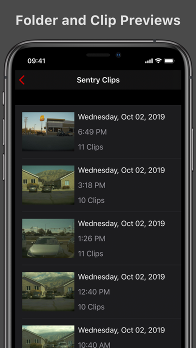 Cam Viewer for Tesla screenshot 4