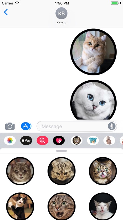 Funny Cats Sticker Pack