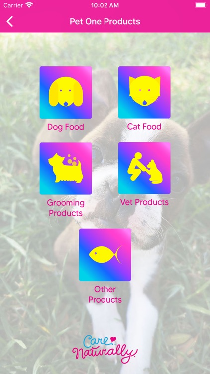 Pet One screenshot-3