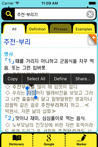국립국어원 표준국어대사전 - 디오딕 3 screenshot 4